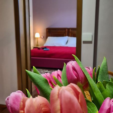 Zi Bitta - Guest House Пальманова Экстерьер фото